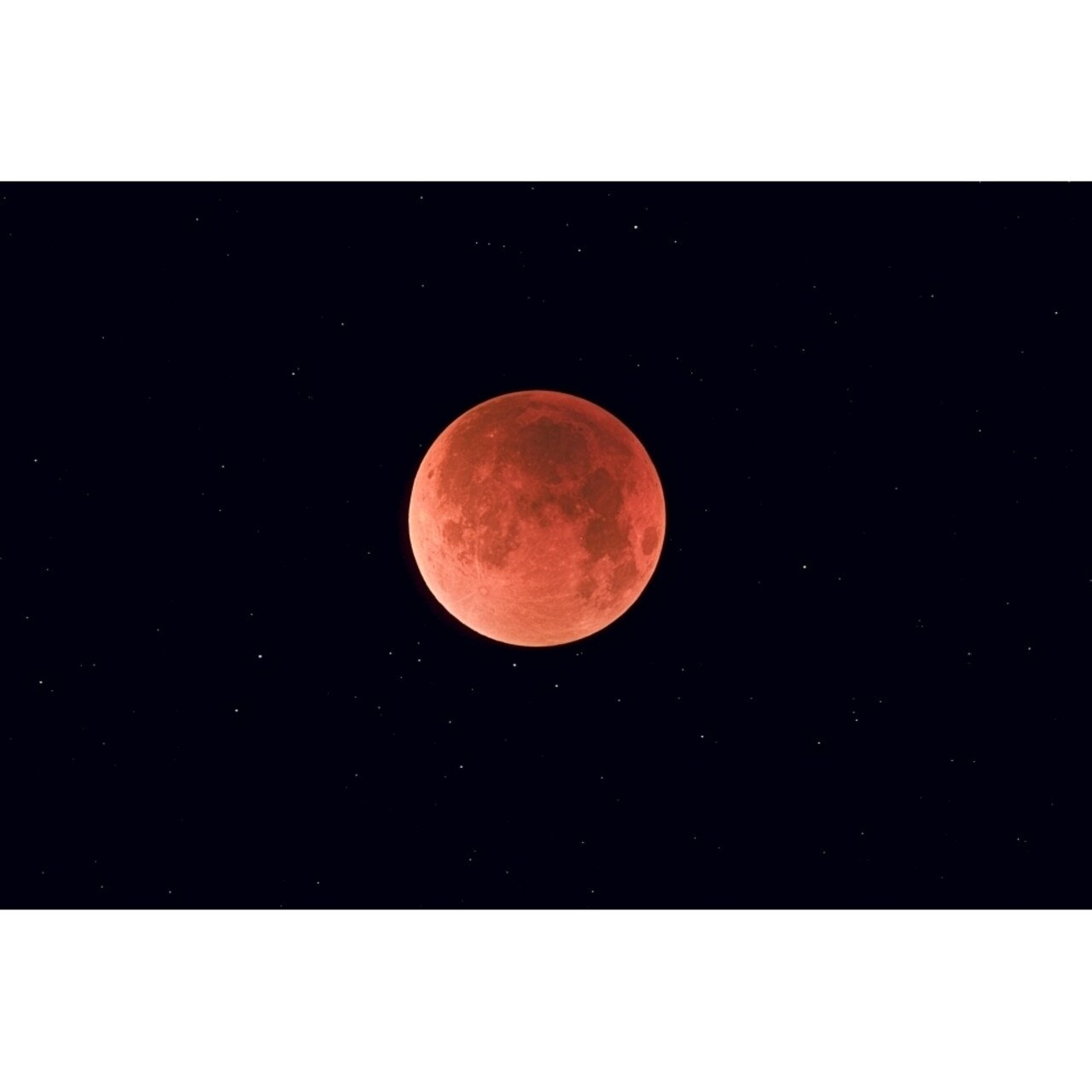 Total Lunar Eclipse Taken Near Calgary Alberta Canada Poster Print